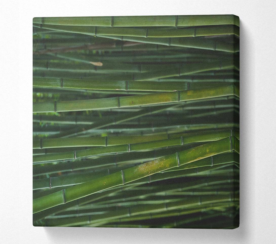  A Canvas Print of Emerald Bamboo Forest Canvas Wall Art