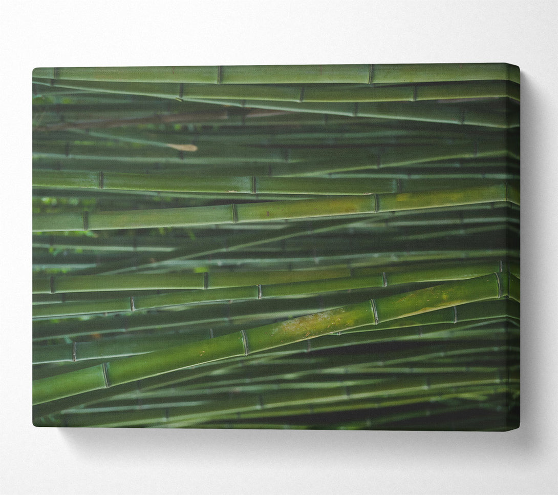  A Canvas Print of Emerald Bamboo Forest Canvas Wall Art