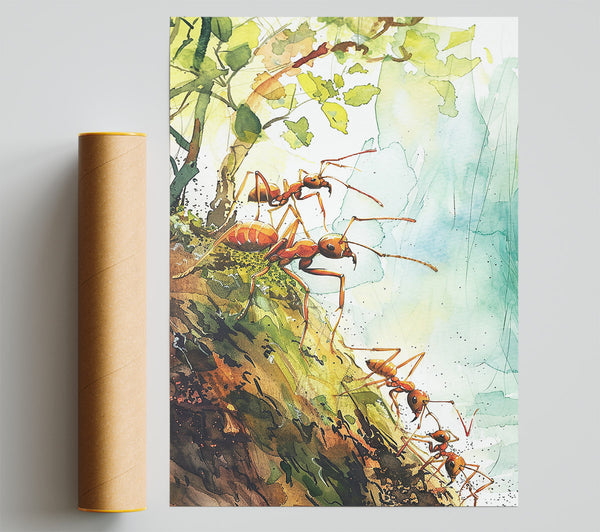Green And Orange Ants Poster