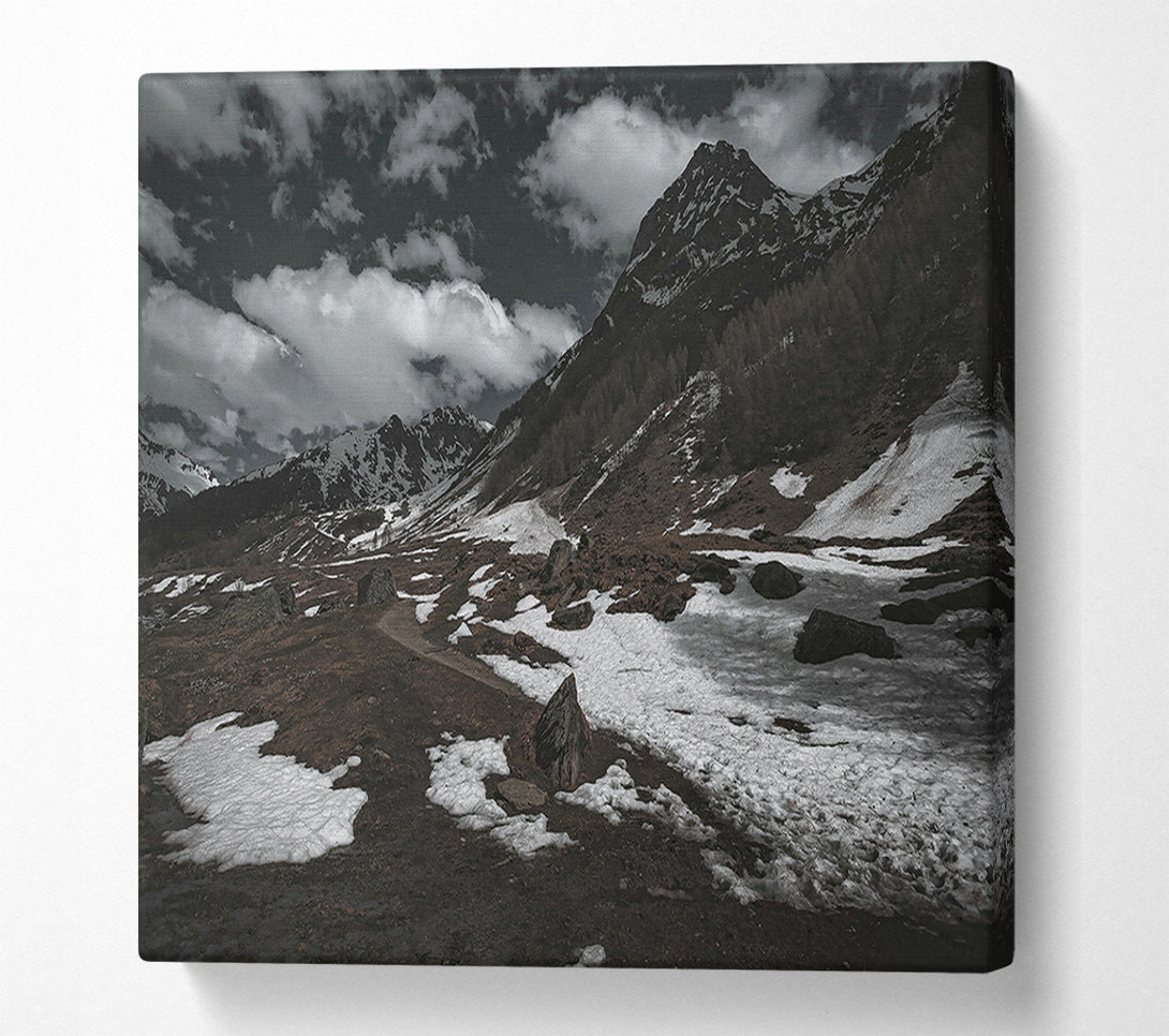  A Canvas Print of White Patches On Brown Canvas Wall Art