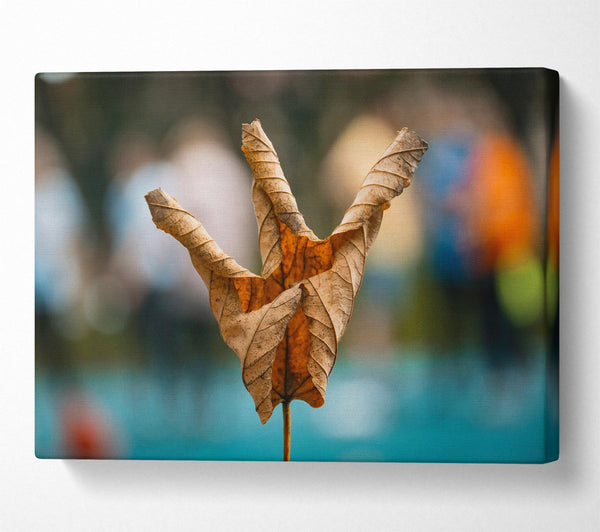  A Canvas Print of The Golden Embrace Canvas Print