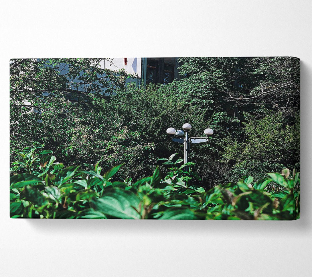  A Canvas Print of Green Light Escape Canvas Wall Art