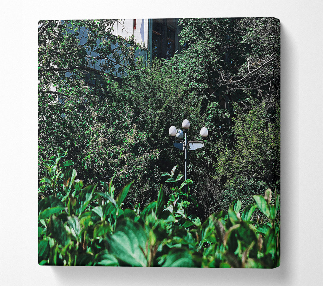  A Canvas Print of Green Light Escape Canvas Wall Art