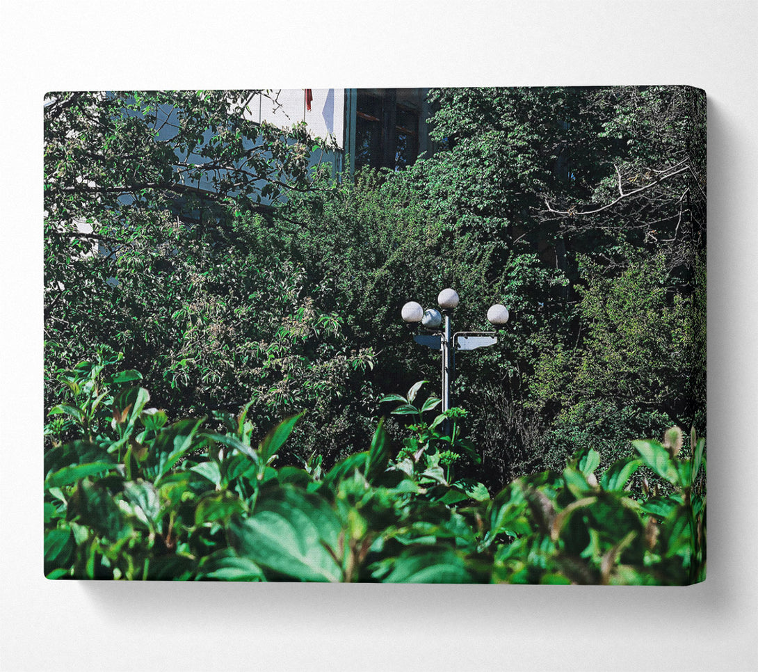  A Canvas Print of Green Light Escape Canvas Wall Art