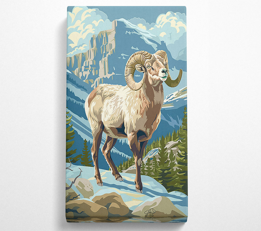  A Canvas Print of Blue Mountain Ram Canvas Art