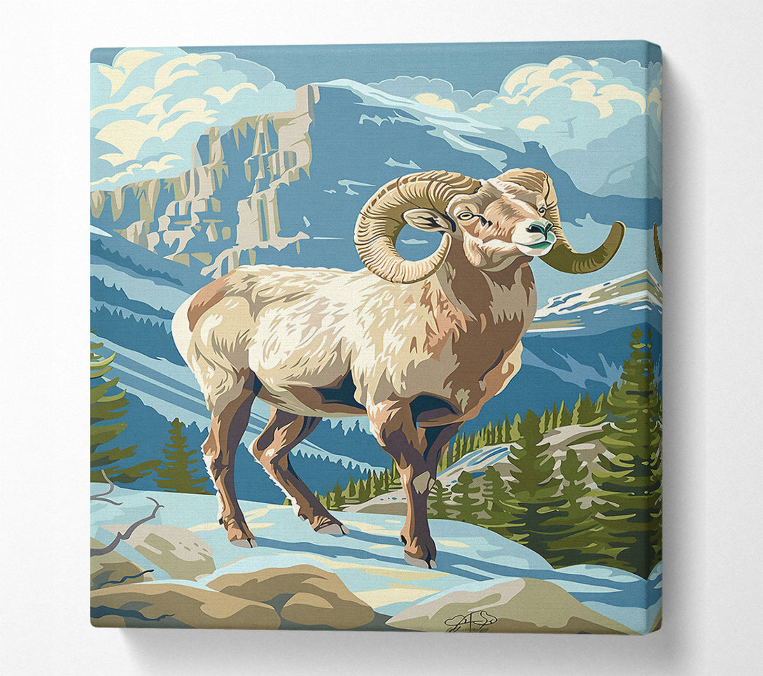  A Canvas Print of Blue Mountain Ram Canvas Art