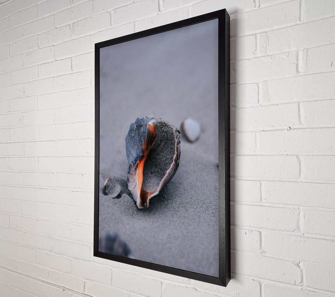  A Canvas Print of Orange Seashell On Sand Canvas Print