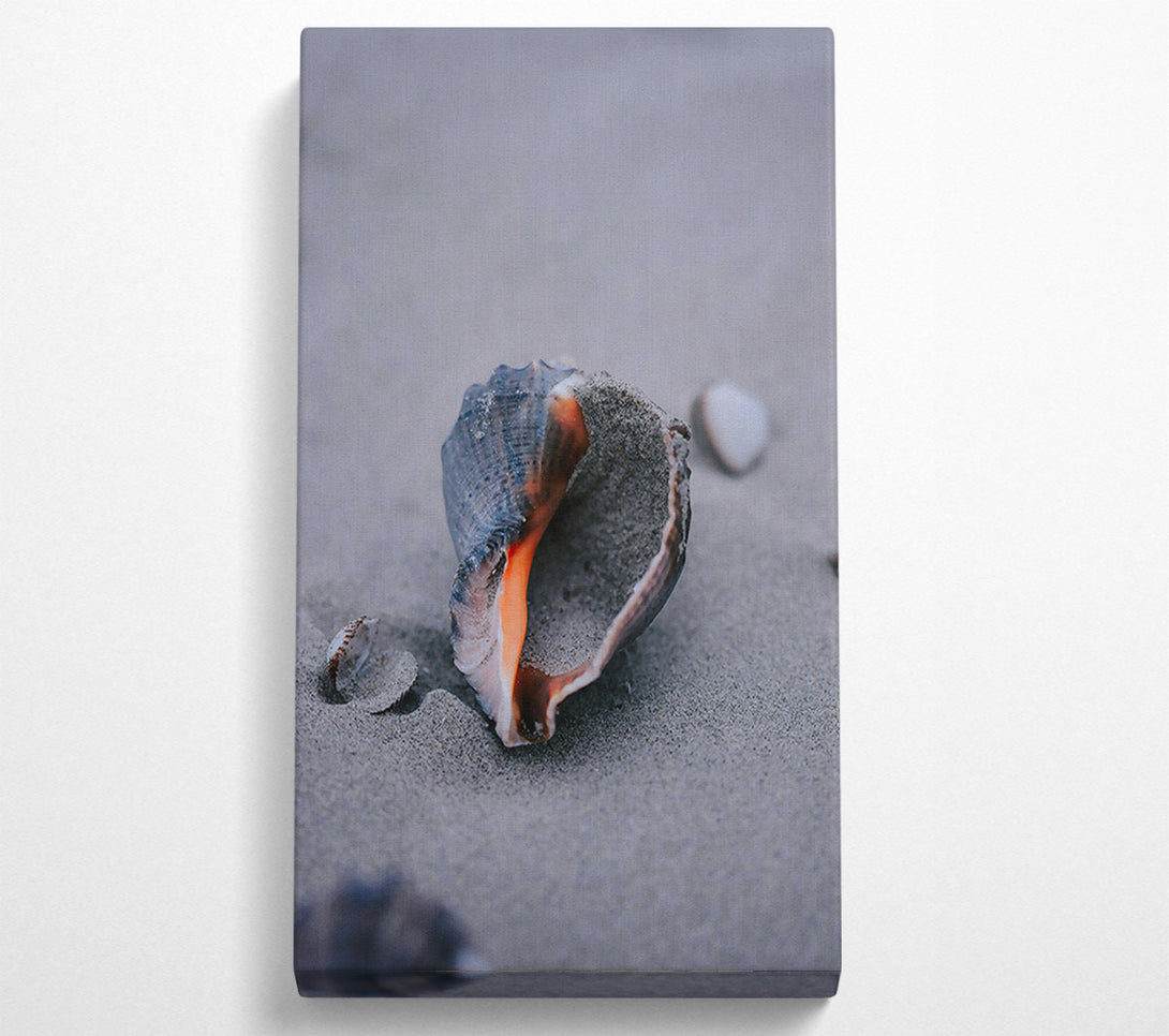  A Canvas Print of Orange Seashell On Sand Canvas Print