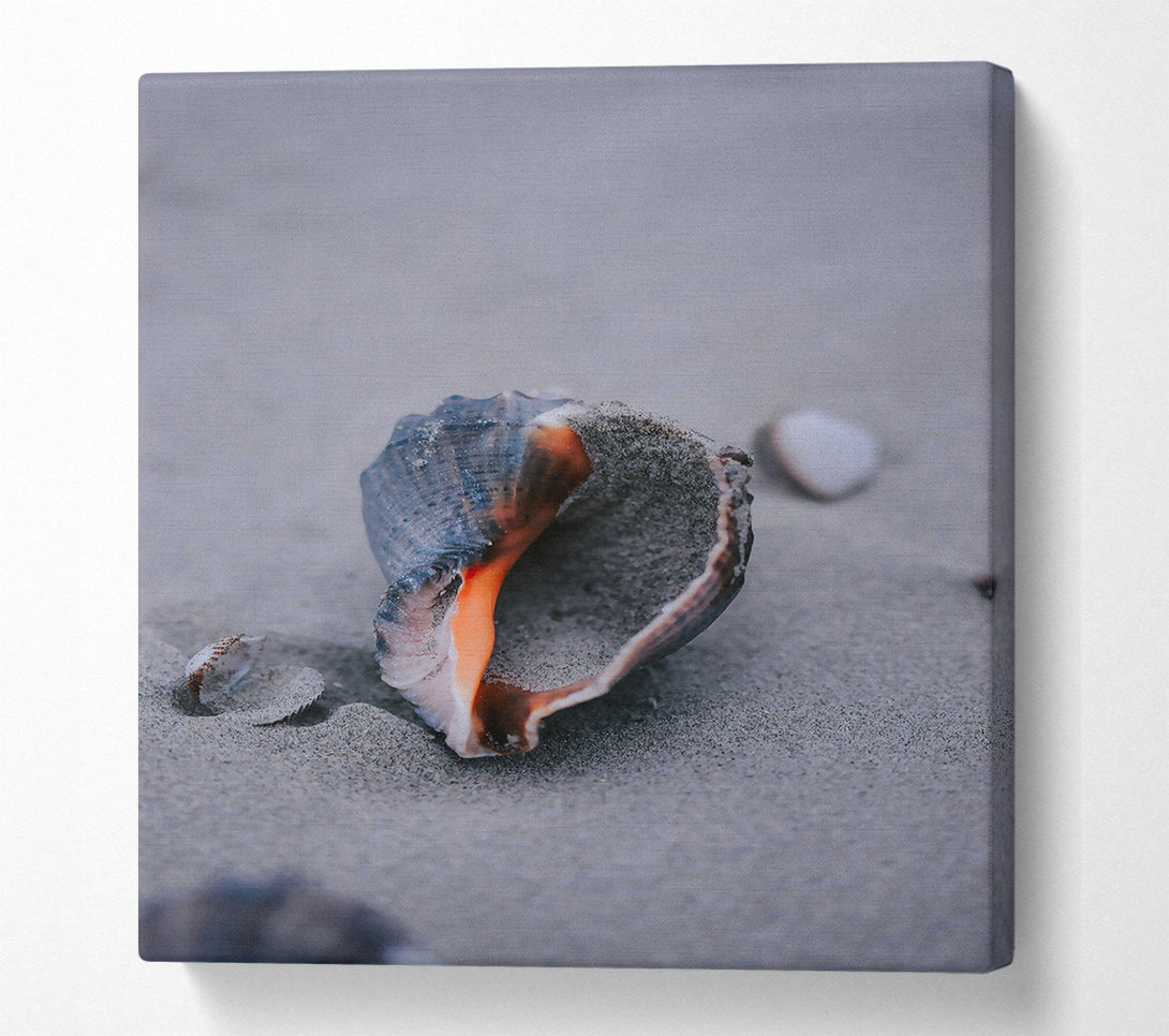  A Canvas Print of Orange Seashell On Sand Canvas Print