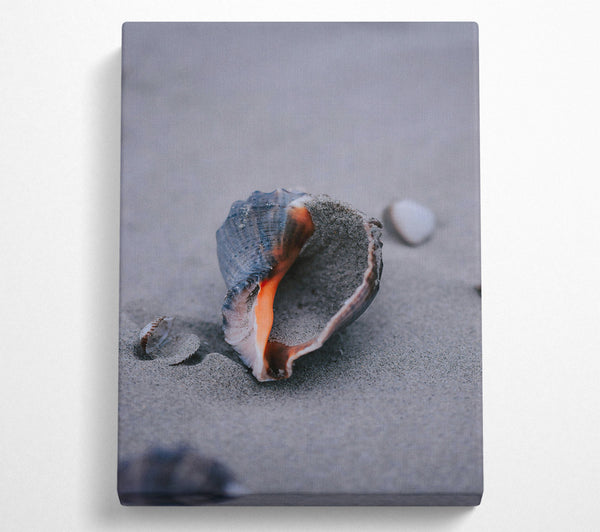  A Canvas Print of Orange Seashell On Sand Canvas Print