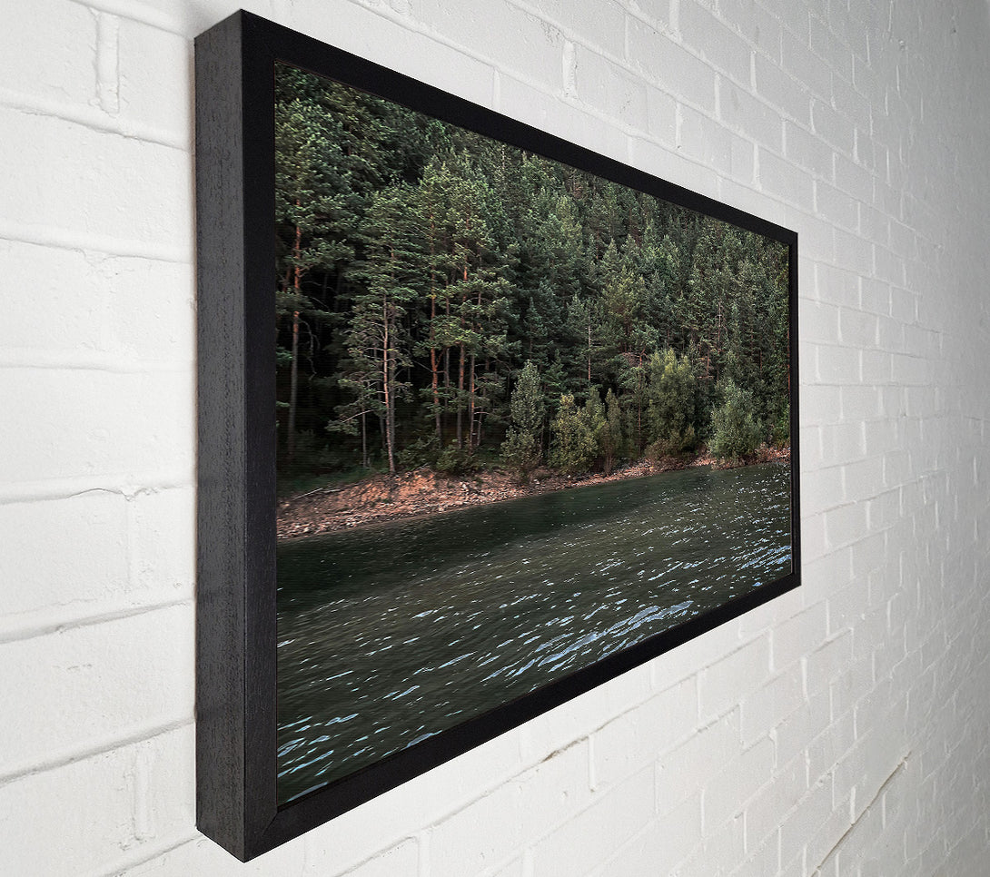  A Canvas Print of Emerald Forest Reflection Canvas Art