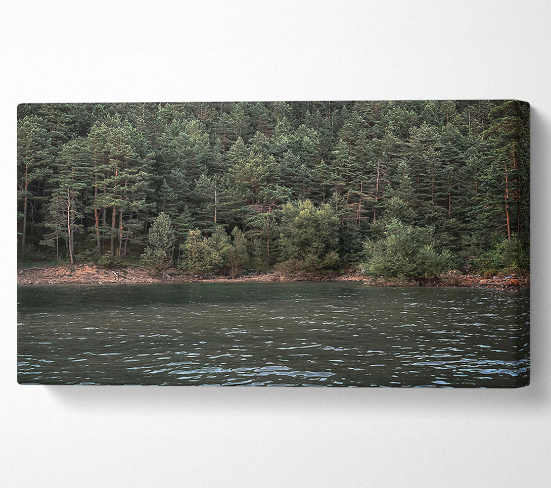  A Canvas Print of Emerald Forest Reflection Canvas Art