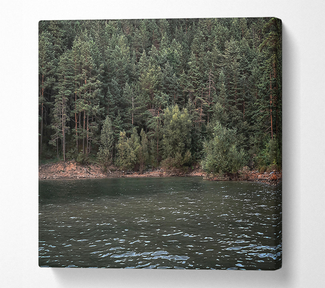  A Canvas Print of Emerald Forest Reflection Canvas Art