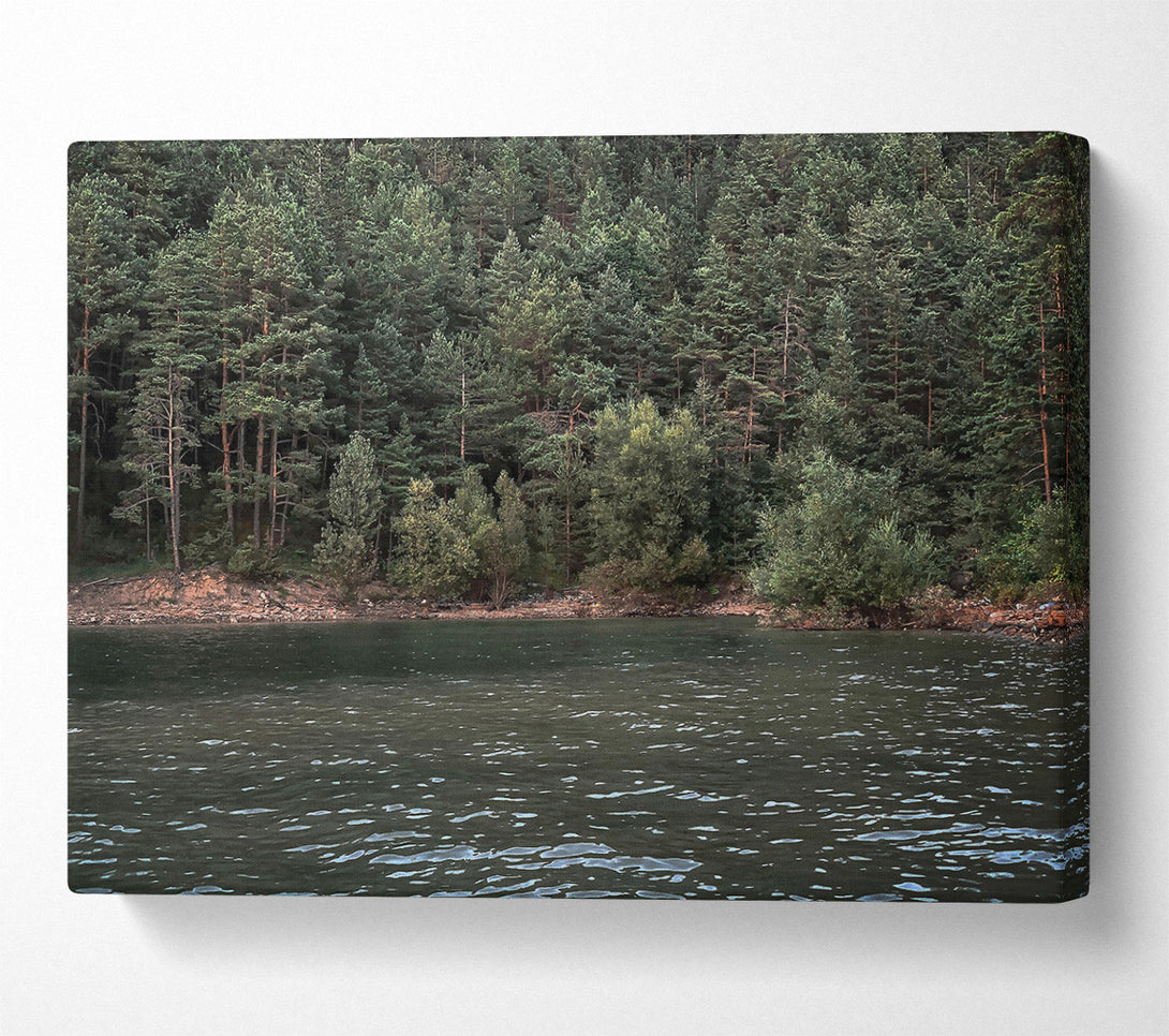  A Canvas Print of Emerald Forest Reflection Canvas Art