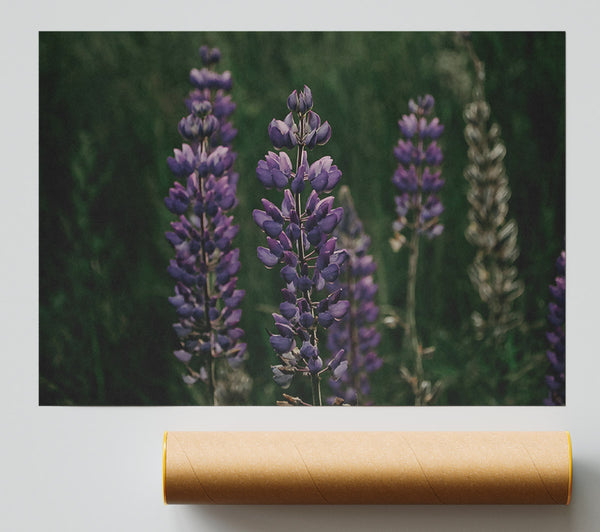 Purple Summer Bloom Giclee Print
