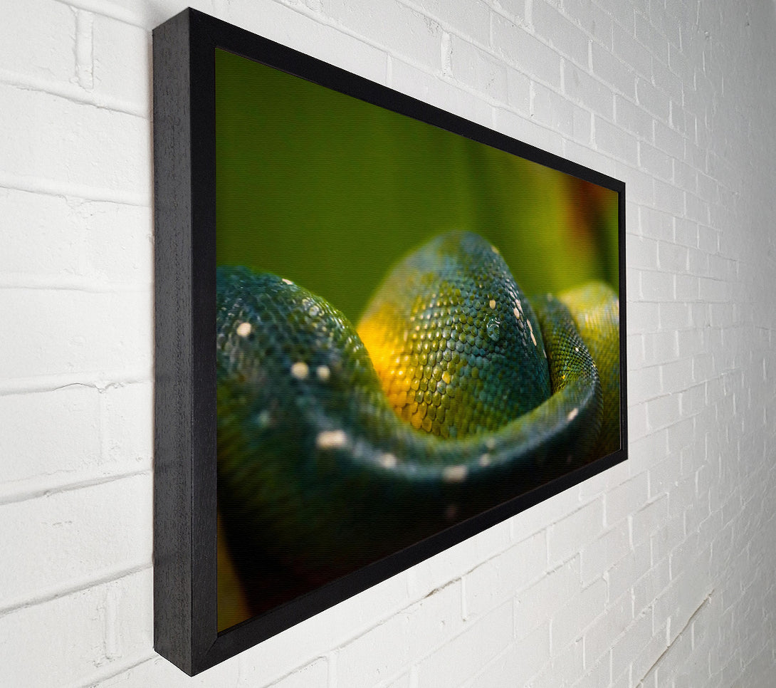  A Canvas Print of Emerald Green Scales Canvas Print