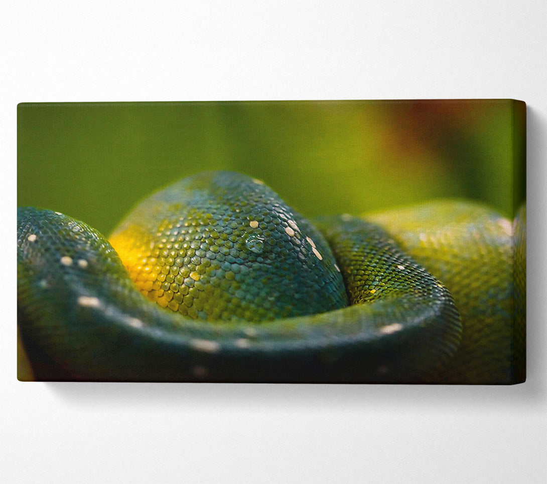  A Canvas Print of Emerald Green Scales Canvas Print