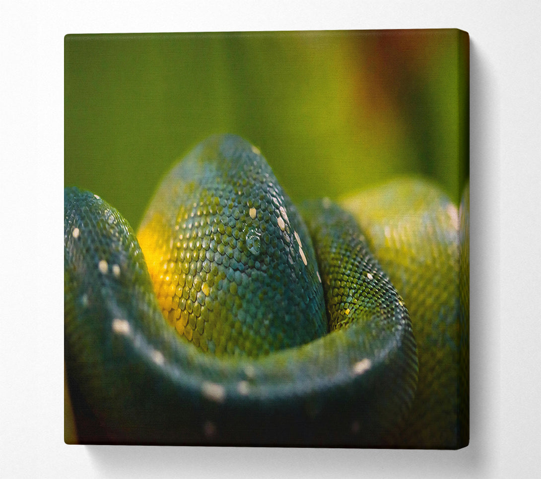  A Canvas Print of Emerald Green Scales Canvas Print