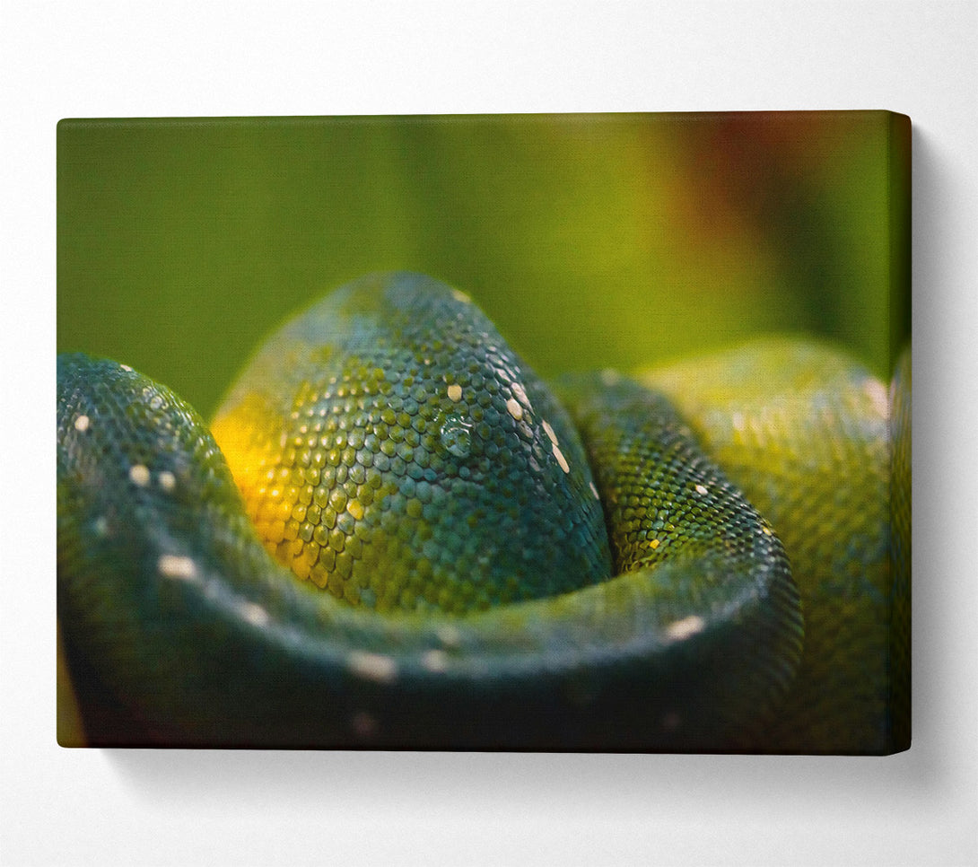  A Canvas Print of Emerald Green Scales Canvas Print