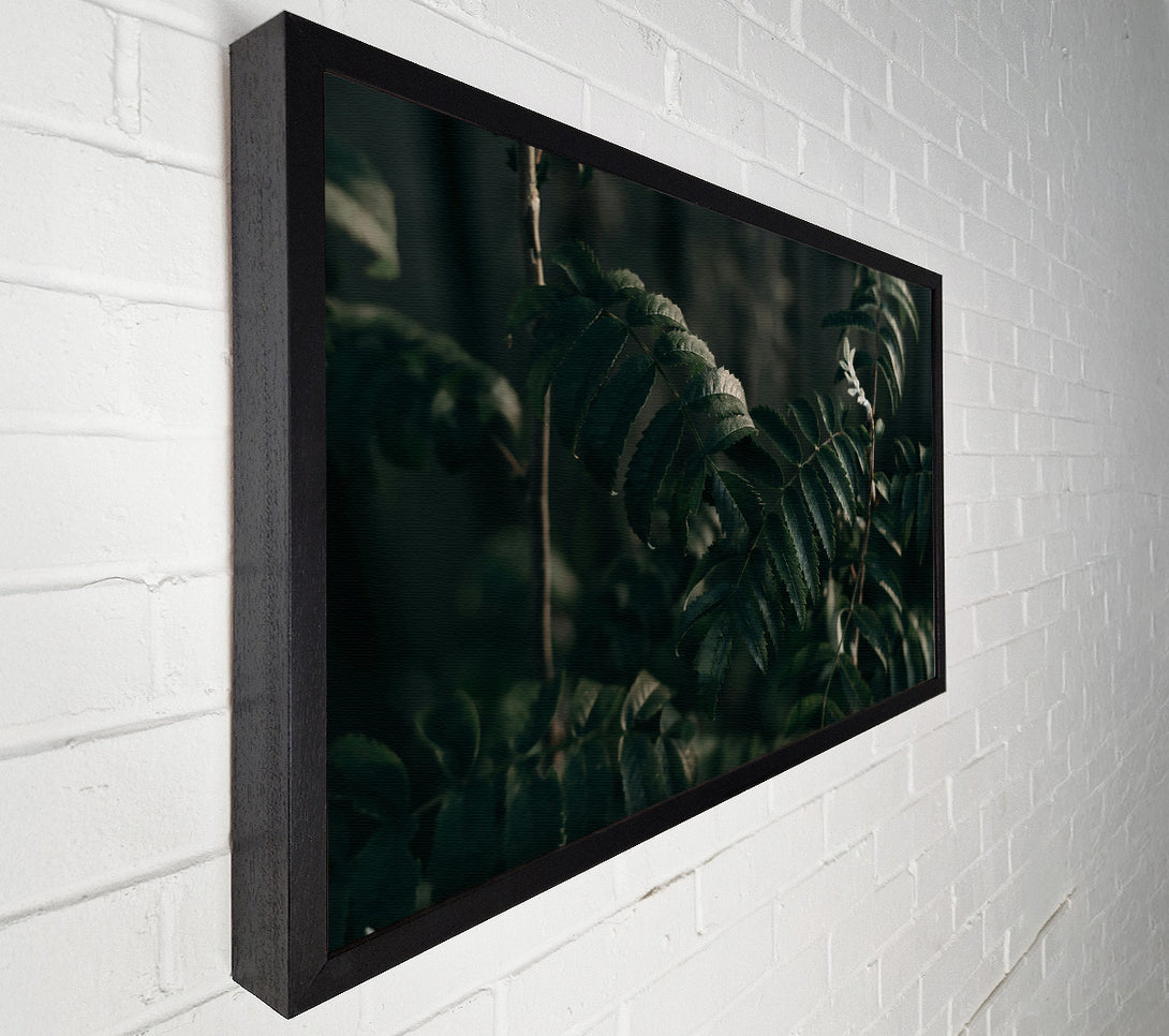  A Canvas Print of Emerald Leafy Shadows Canvas Wall Art