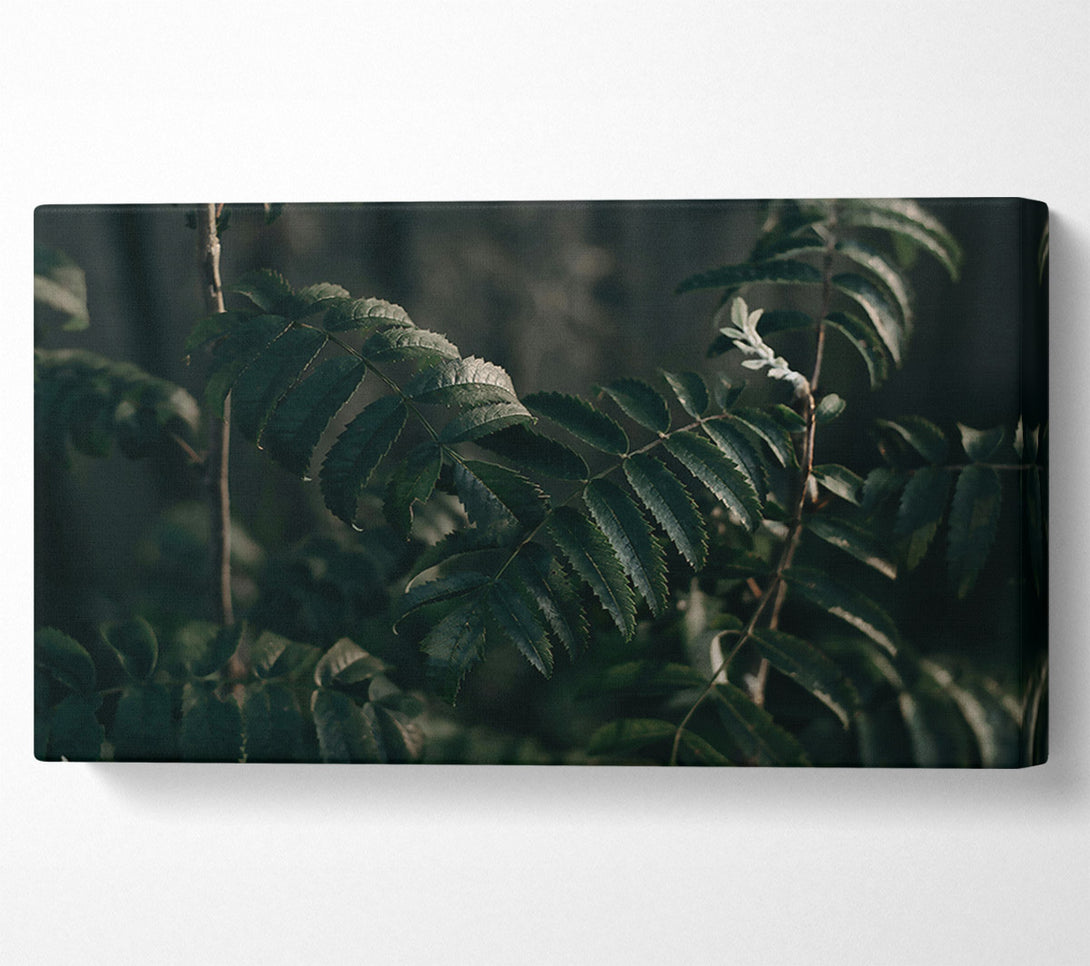  A Canvas Print of Emerald Leafy Shadows Canvas Wall Art