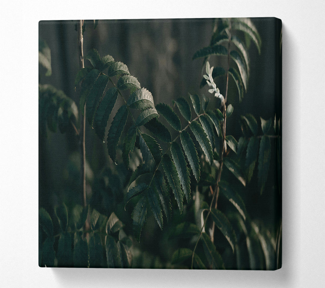 A Canvas Print of Emerald Leafy Shadows Canvas Wall Art