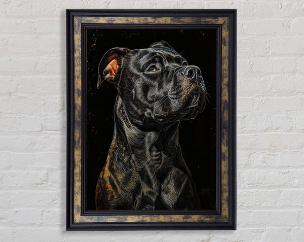 Walnut Staff Framed Print