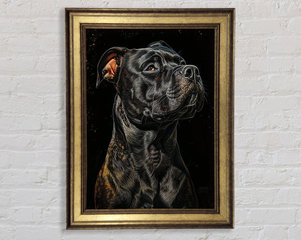 White Staff Framed Print