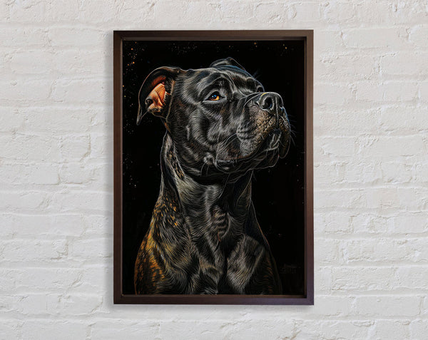 Walnut Staff Framed Print