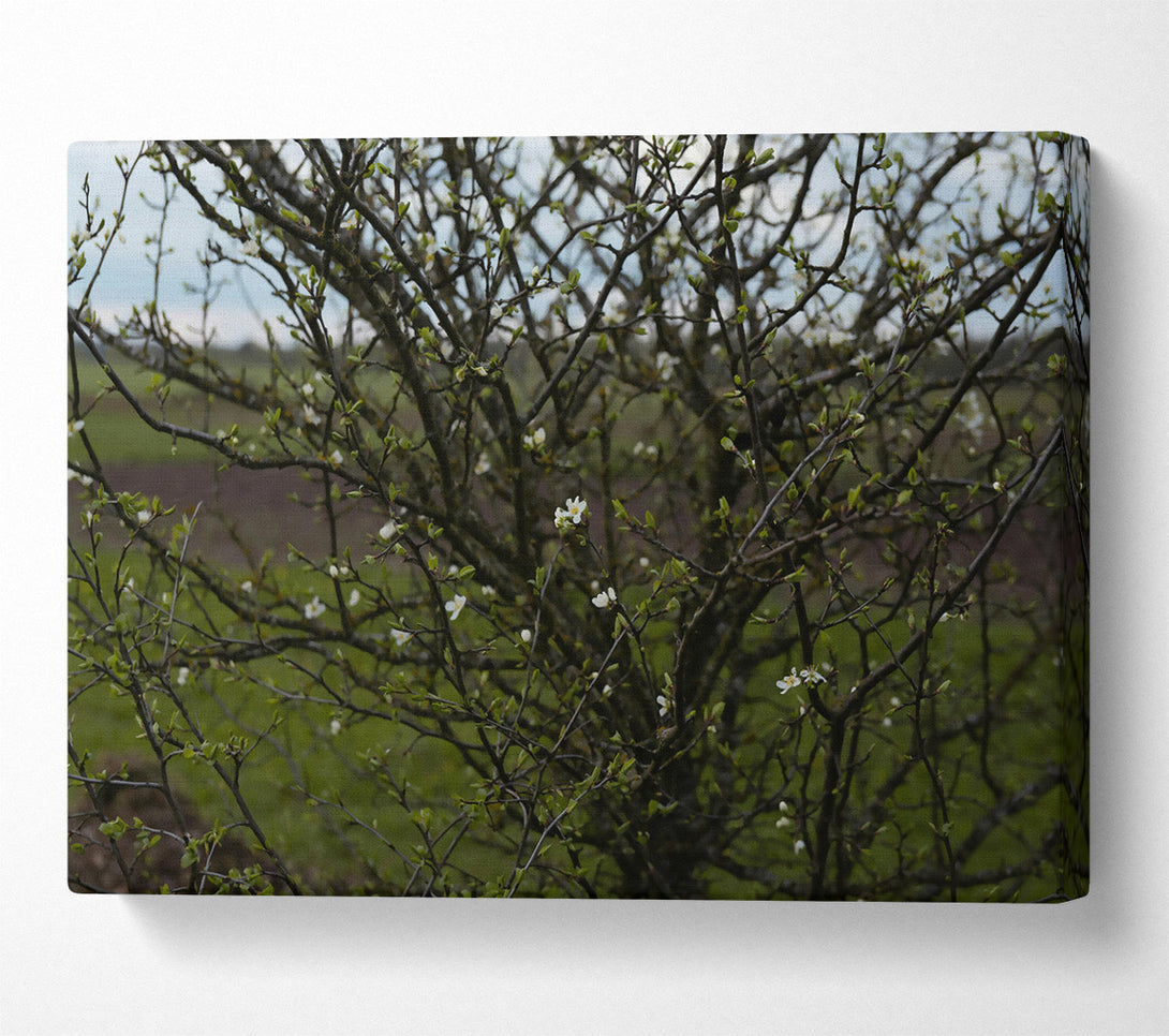  A Canvas Print of Loading... Canvas Print