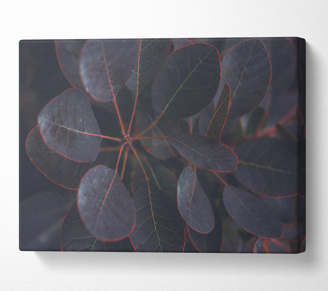 A Canvas Print of Loading... Canvas Print