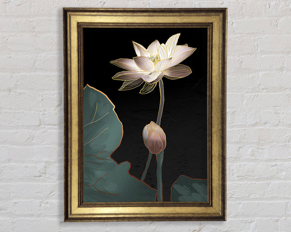 White With Flower Framed Print