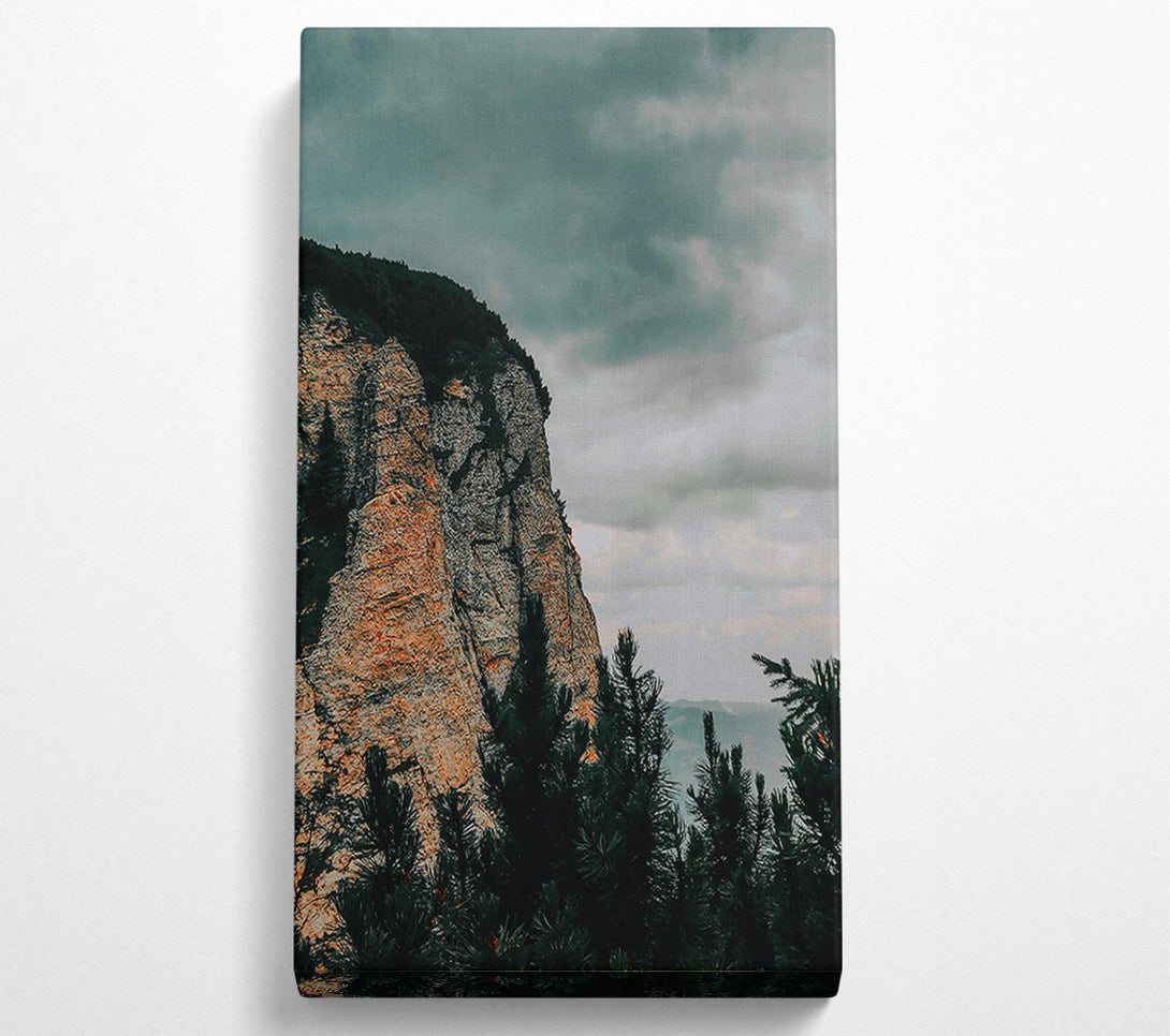  A Canvas Print of Gray Cliffside Pines Canvas Art