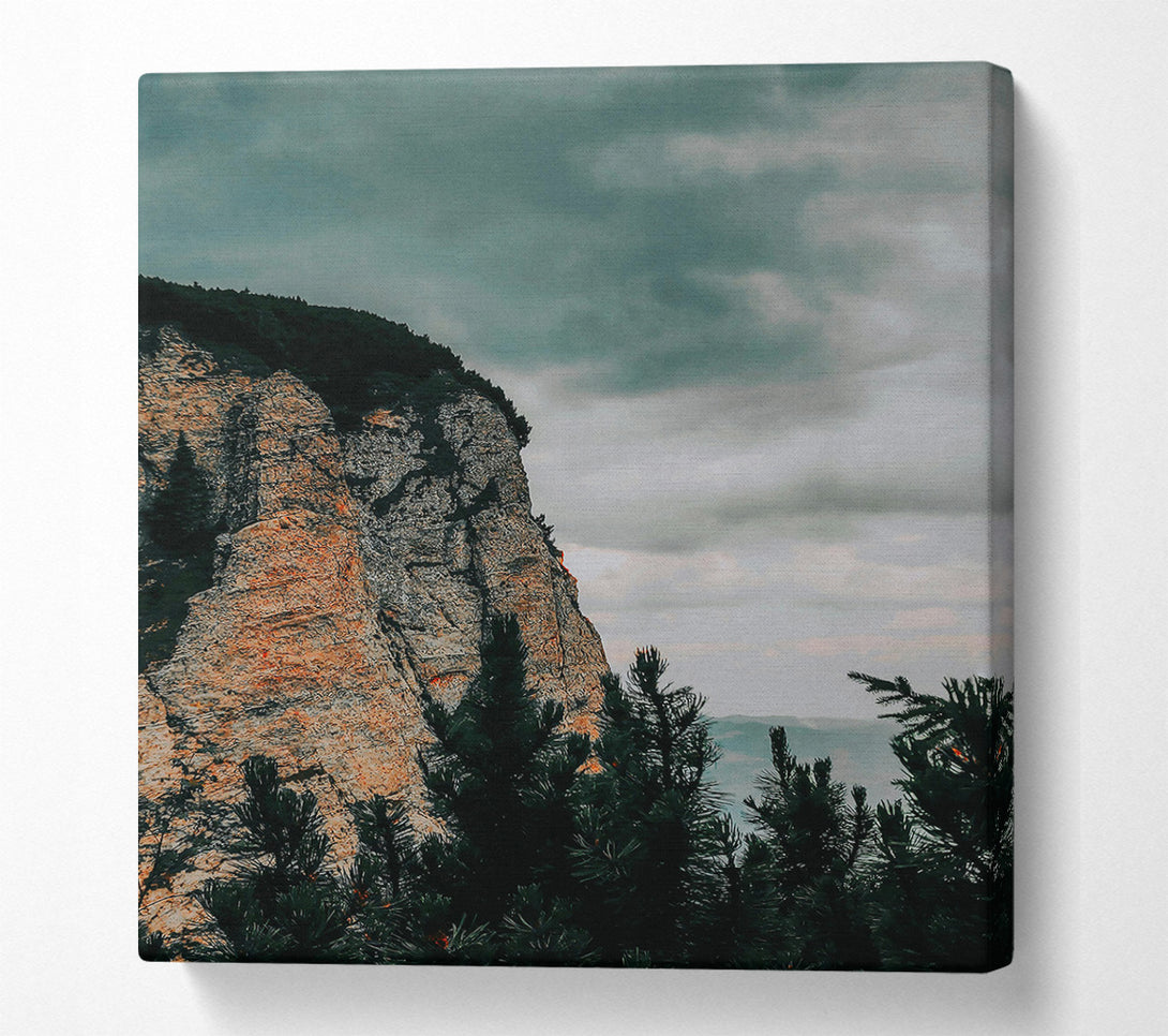 A Canvas Print of Gray Cliffside Pines Canvas Art
