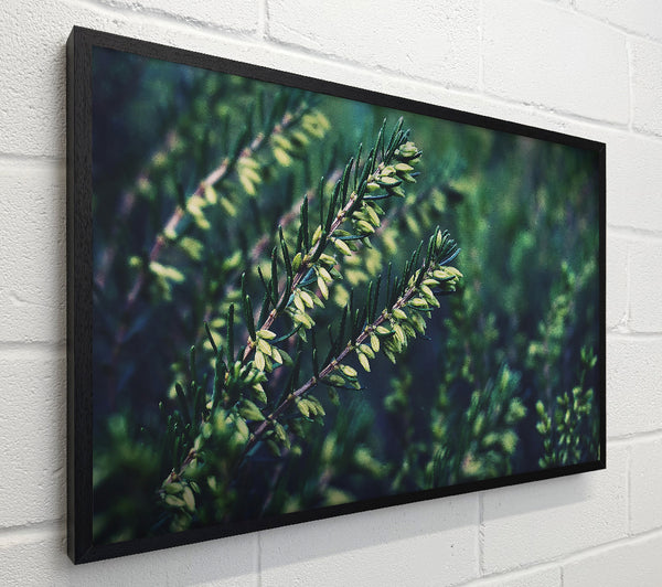 Emerald Green Sprigs