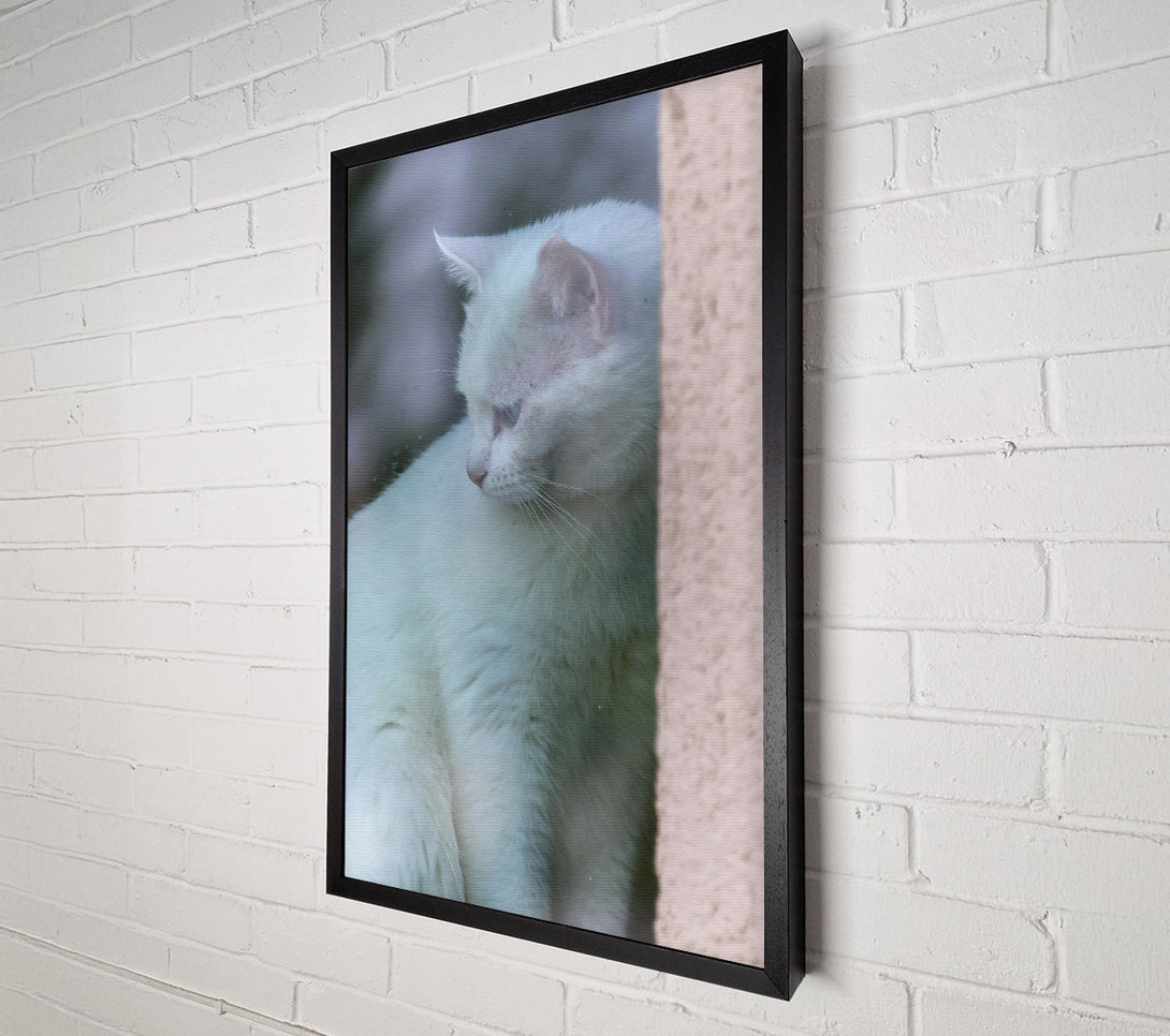  A Canvas Print of White Feline Mystery Canvas Art