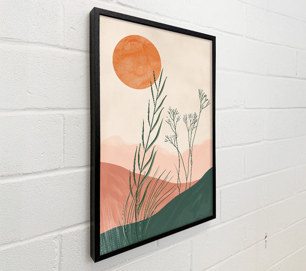Coral Sun And Green Grass