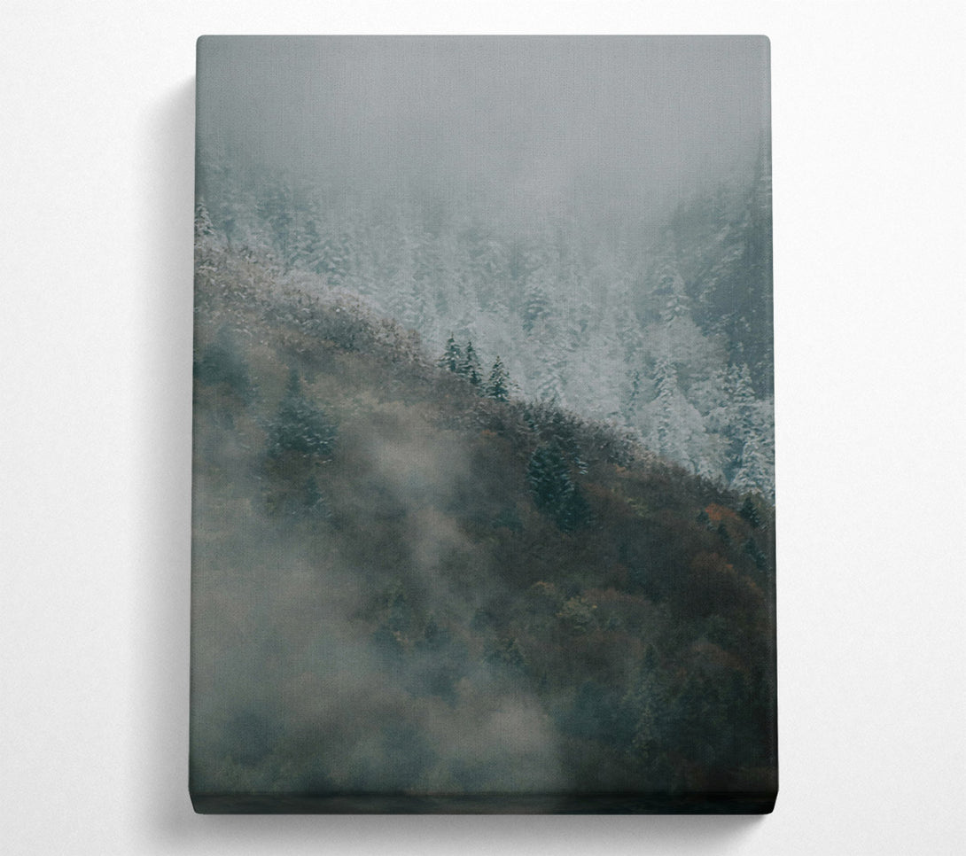  A Canvas Print of Gray Foggy Forest Canvas Art