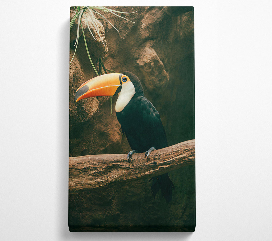  A Canvas Print of Black Toucan On Branch Canvas Wall Art
