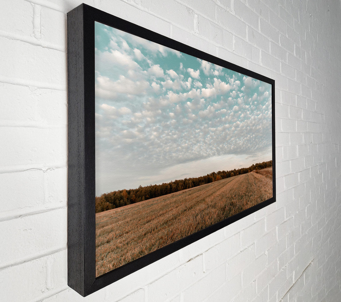  A Canvas Print of Teal Sky Field Canvas Art