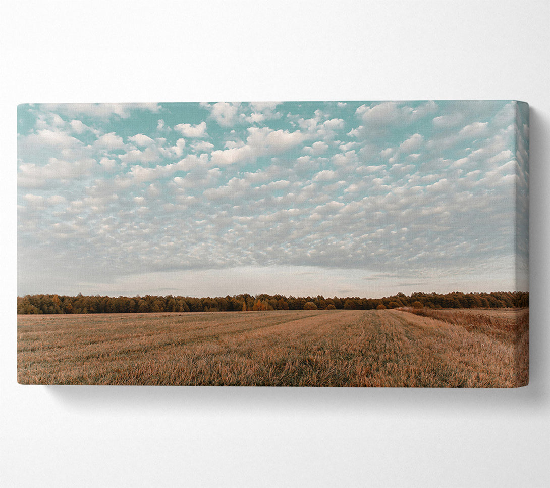  A Canvas Print of Teal Sky Field Canvas Art