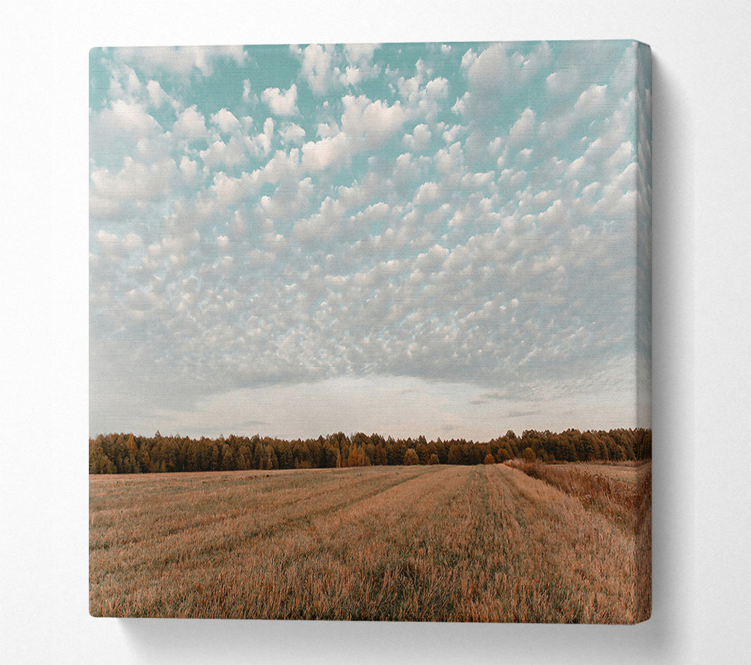  A Canvas Print of Teal Sky Field Canvas Art