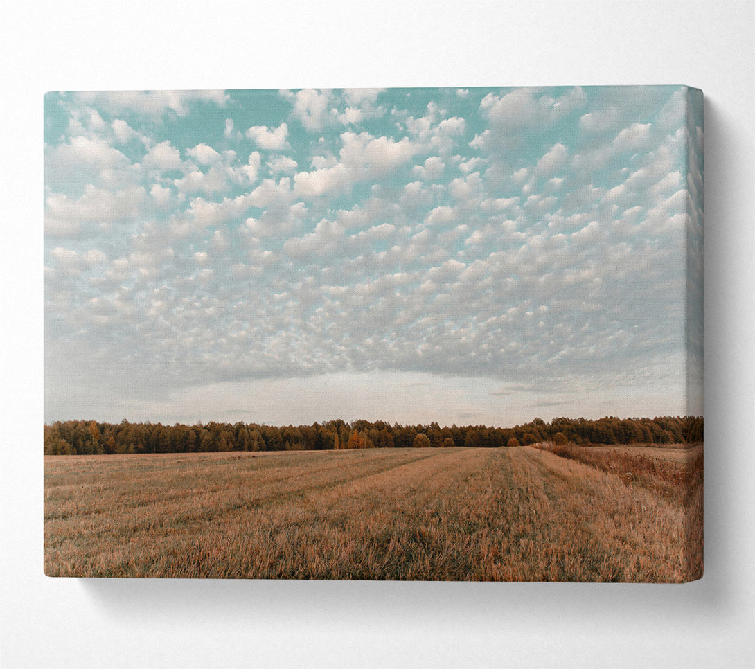 A Canvas Print of Teal Sky Field Canvas Art
