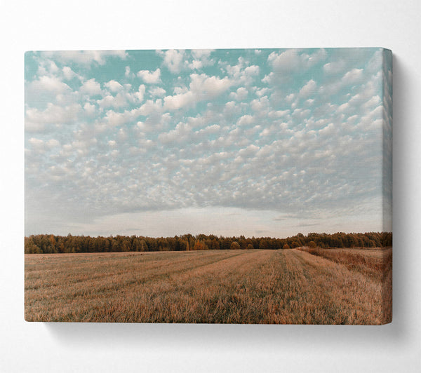  A Canvas Print of Teal Sky Field Canvas Art