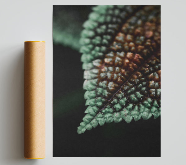 Emerald Velvet Texture Giclee Print