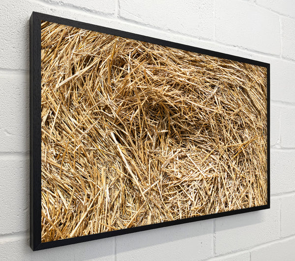 Golden Hay Bale Texture