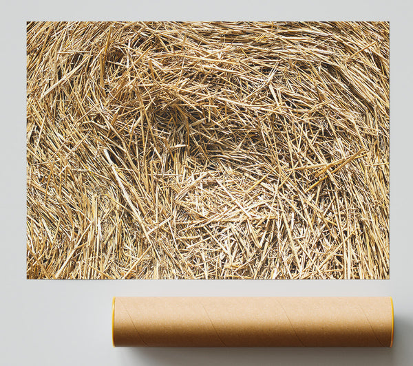 Golden Hay Bale Texture Giclee Print