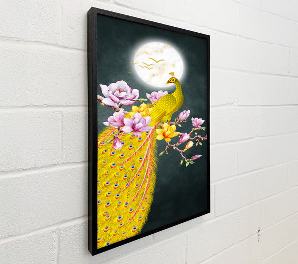 Blossom Peacock
