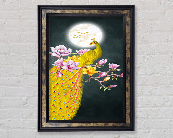 Blossom Peacock Framed Print