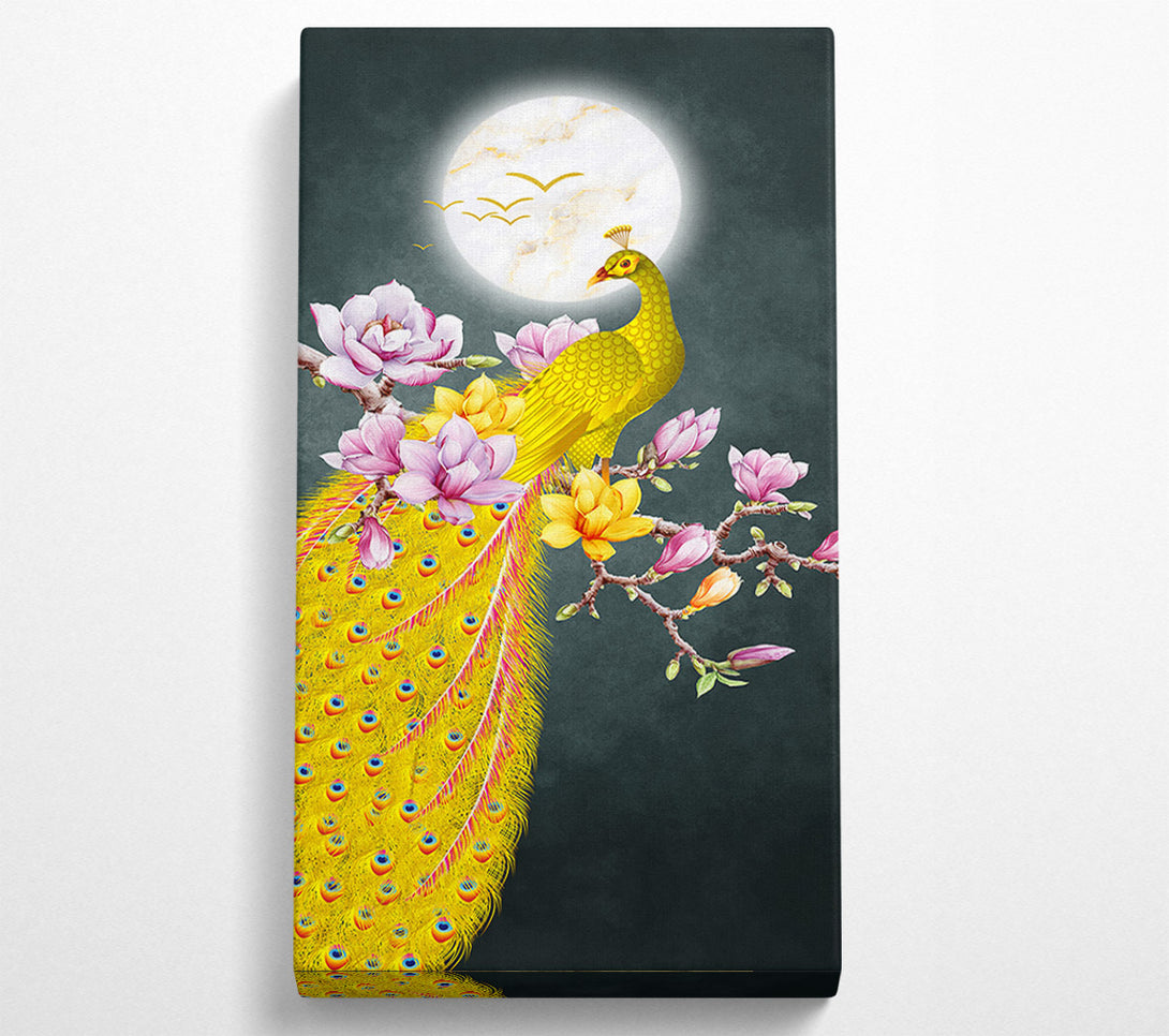  A Canvas Print of Blossom Peacock Canvas Art